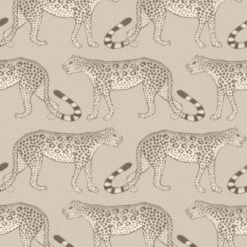 Leopard Walk 109-2012
